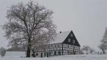 Kleineledder im Schnee - Januar 2015
