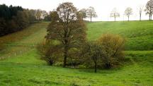 Weideland hinter der alten Scheune